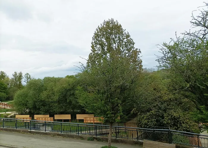 Panoramique Floral Centre Festival Photo