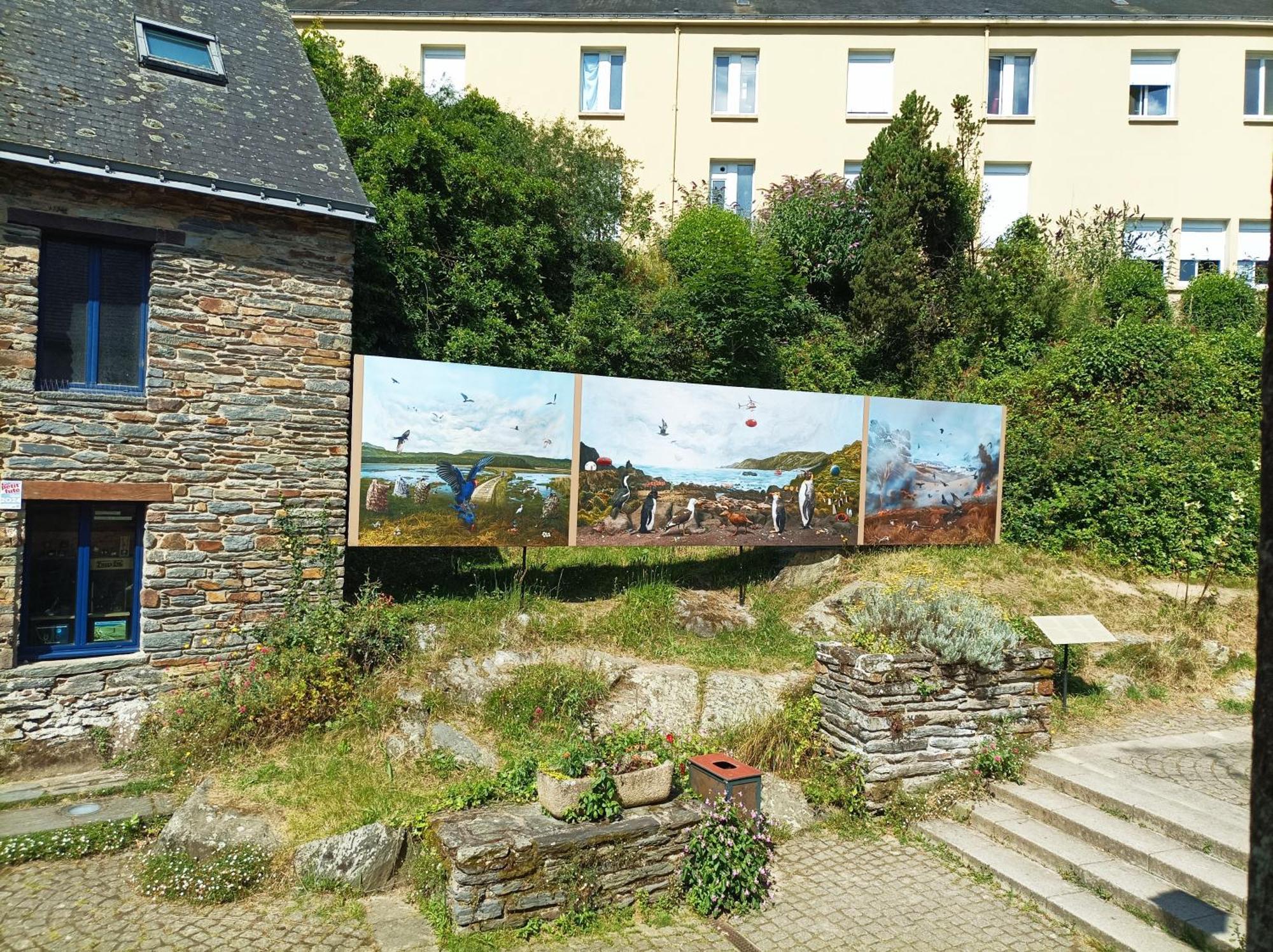 Panoramique Floral Centre Festival Photo Appartement *